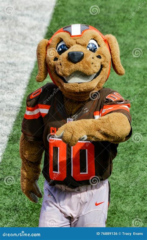 NFL Mascot Chomps the Cleveland Browns Editorial Photo - Image of ...