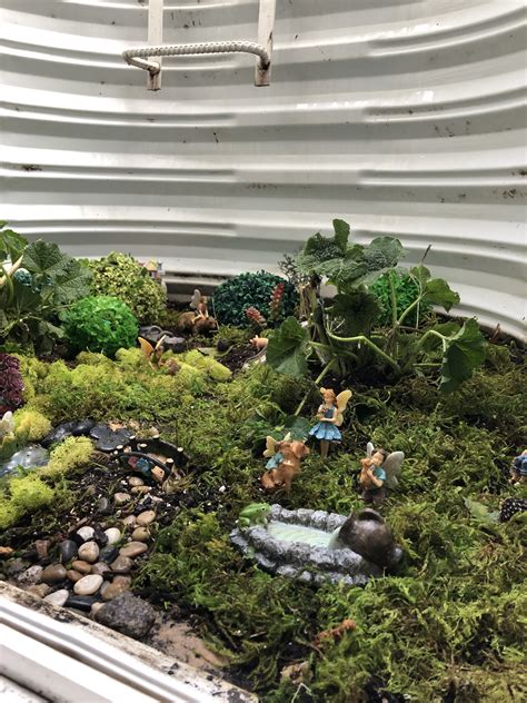 Pin on Fairy Gardens