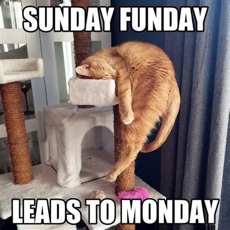 Sunday Meme Discover more interesting Asleep, Bedtime, Coffee, Holiday memes. https://www ...