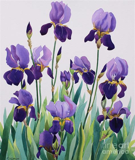 Purple Irises Painting - Purple Irises by Christopher Ryland | Flower ...