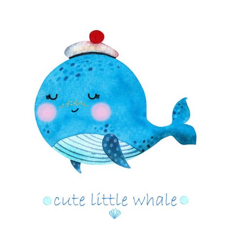 Cartoon Baby Whale Illustrations, Royalty-Free Vector Graphics & Clip ...