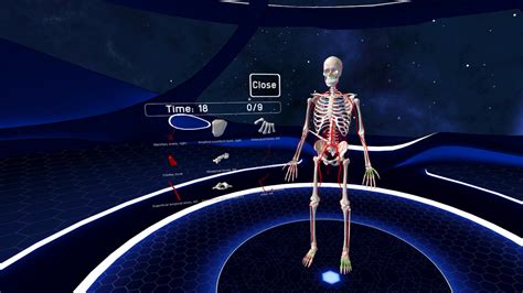 Human Anatomy VR - THE VR GRID