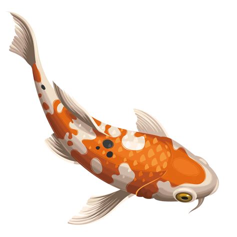 Golden Koi Fish PNG Picture - PNG Mart