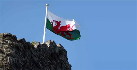 The Leek - National Emblem of Wales and the Welsh