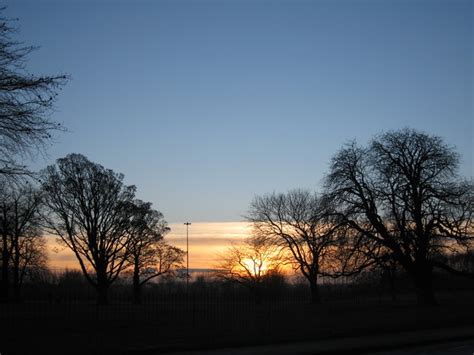 Winter Trees in Bowring Park © Sue Adair :: Geograph Britain and Ireland