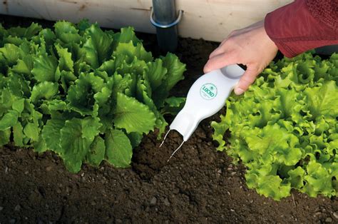 Tool Dude's Blog: Weeding Tools