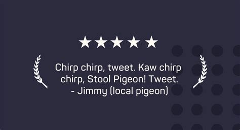 Stool Pigeon Game by Jon Yetter | Work Samples