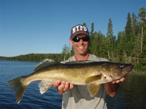 How to Catch Walleye - Tips for Fishing for Walleye