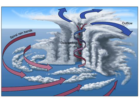 Parts Of A Hurricane Diagram