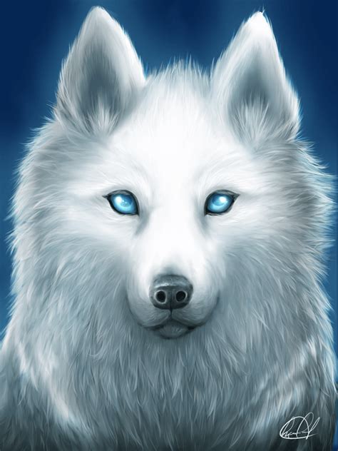 White Wolf with Blue Eyes Wallpapers - 4k, HD White Wolf with Blue Eyes ...