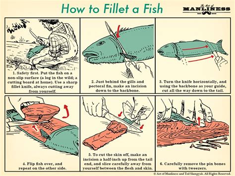 How to Fillet a Fish | TFE Times