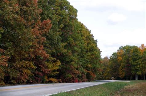 Take These 15 Country Roads in Missouri For An Unforgettable Scenic Drive | Scenic drive ...