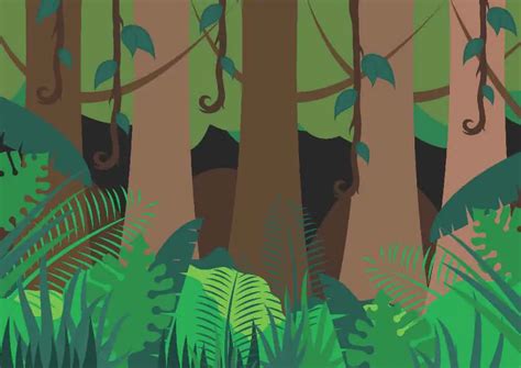 Jungle Animal flashcards + FREE Jungle background