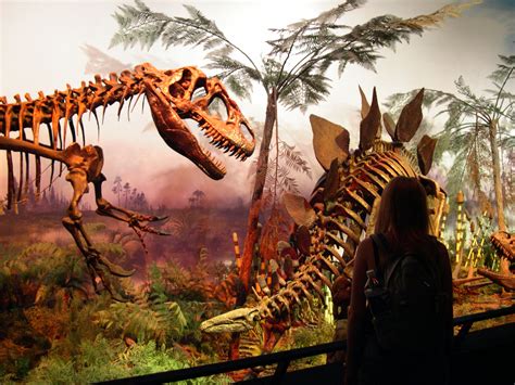 List of dinosaurs | Paleontology Wiki | Fandom powered by Wikia