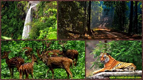 Simlipal National Park, #Odisha One of the Important Tiger Reserve ...