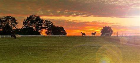 EquiCenter | Nature-Based Learning | 3247 Rush Mendon Road, Honeoye ...