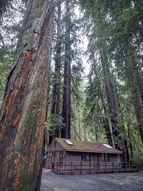 Armstrong Redwoods State Natural Reserve | Park just reopene… | Flickr