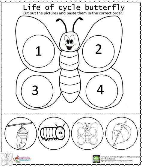 Life Of Cycle Butterfly Worksheet | Butterfly life cycle preschool, Life cycles preschool, Life ...