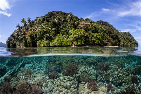 Mari Jaga Terumbu Karang di Indonesia | KASKUS