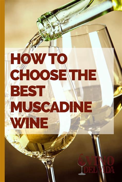 How to Choose the Best Muscadine Wine | Muscadine wine, Wine, Wine ...