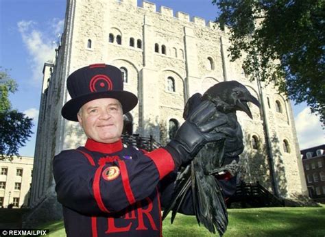 Tower of London ravens are snatched by a fox - rumour has it all were killedduring Brexit vote ...