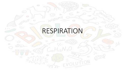 BIOLOGY RESPIRATION