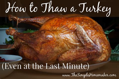 How to Thaw a Turkey (Even at the Last Minute)