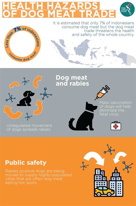 Banning dog meat in Indonesia | The ASEAN Post