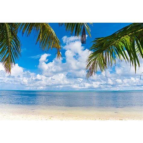 Beach Blue Ocean Sky Photography Backdrop G-501 – Dbackdrop