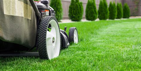 Lawn Care Tips: 7 Techniques You'll Want to Know