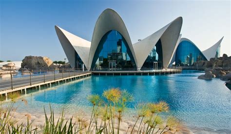 10 Things to Know about Aquarium in Valencia – Trip-N-Travel