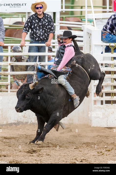 Rodeo cowboy riding a bucking bull, bull riding competition, Chaffee County Fair & Rodeo, Salida ...