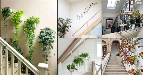 24 Inspiring Staircase Wall Decor Ideas With Plants