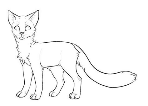 kot 🐱 | Schizzi di animali, Disegnare animali, Tutorial di disegno