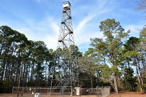 North Carolina, Carteret County, Croatan National Forest, Newport Fire ...