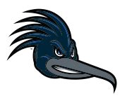 Dalton State College Roadrunners | MascotDB.com