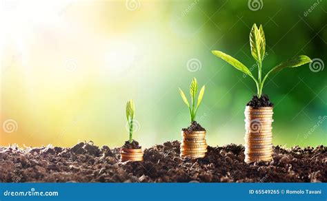 Growing Money Stock Photo - Image: 65549265