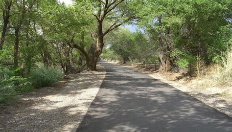 Rio Grande Trails (Paseo del Bosque Trail) - Great Runs