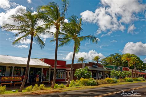 The Best of Old Hawaii Tour – Tsue's Farm