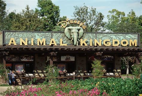 Disney Disneys Animal Kingdom Theme Park - Theme Image