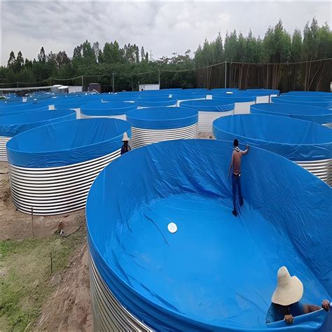 Aquaculture Tanks Tilapia Fish Farming Tank Indoor and Outdoor - China Fish Pond Equipment ...