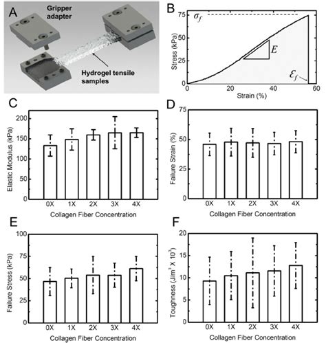 Tensile properties of hydrogel samples. ( A ) Schematic shows the... | Download Scientific Diagram