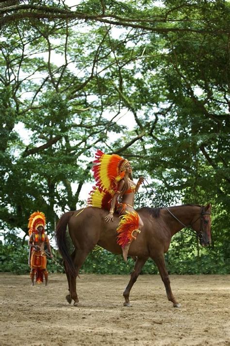 Tribe Carnival 2014 | Tribal warrior, Carnival, Carnival costumes