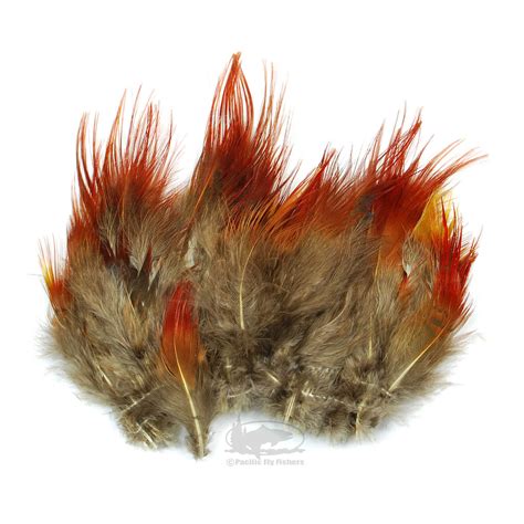 Golden Pheasant Body Feathers | Pacific Fly Fishers