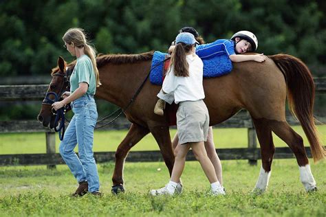 The Best Therapy Animals - What Are Therapy Animals?