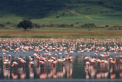 loveisspeed.......: The Ngorongoro Crater Lodge is located on the ...