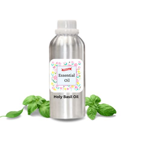 Basil Oil - Holy – Madurasherbals