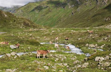 Ausflug nach Graubünden