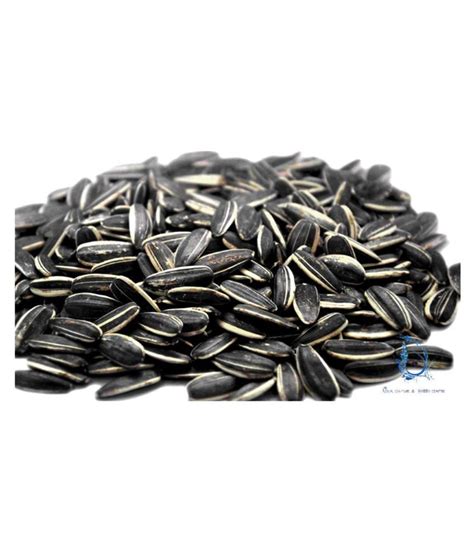 Sunflower Seeds Striped for Birds Food - 900g: Buy Sunflower Seeds Striped for Birds Food - 900g ...