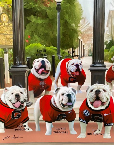 Georgia Bulldogs Uga the Mascot Generations at the Arch - Etsy